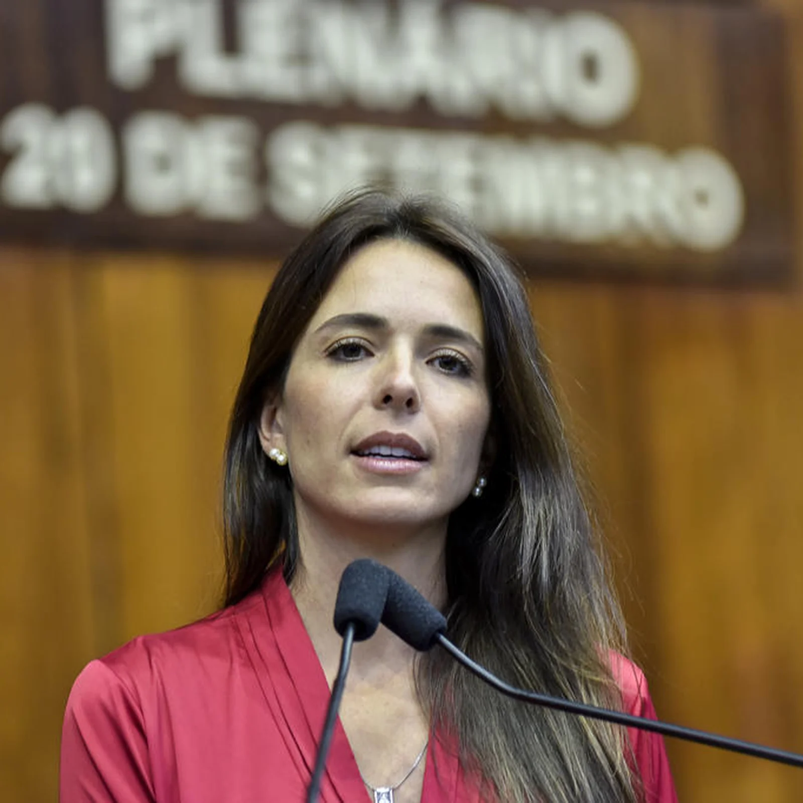 Imagem de Comissão da Câmara aprova projeto que amplia regulação de plataformas digitais