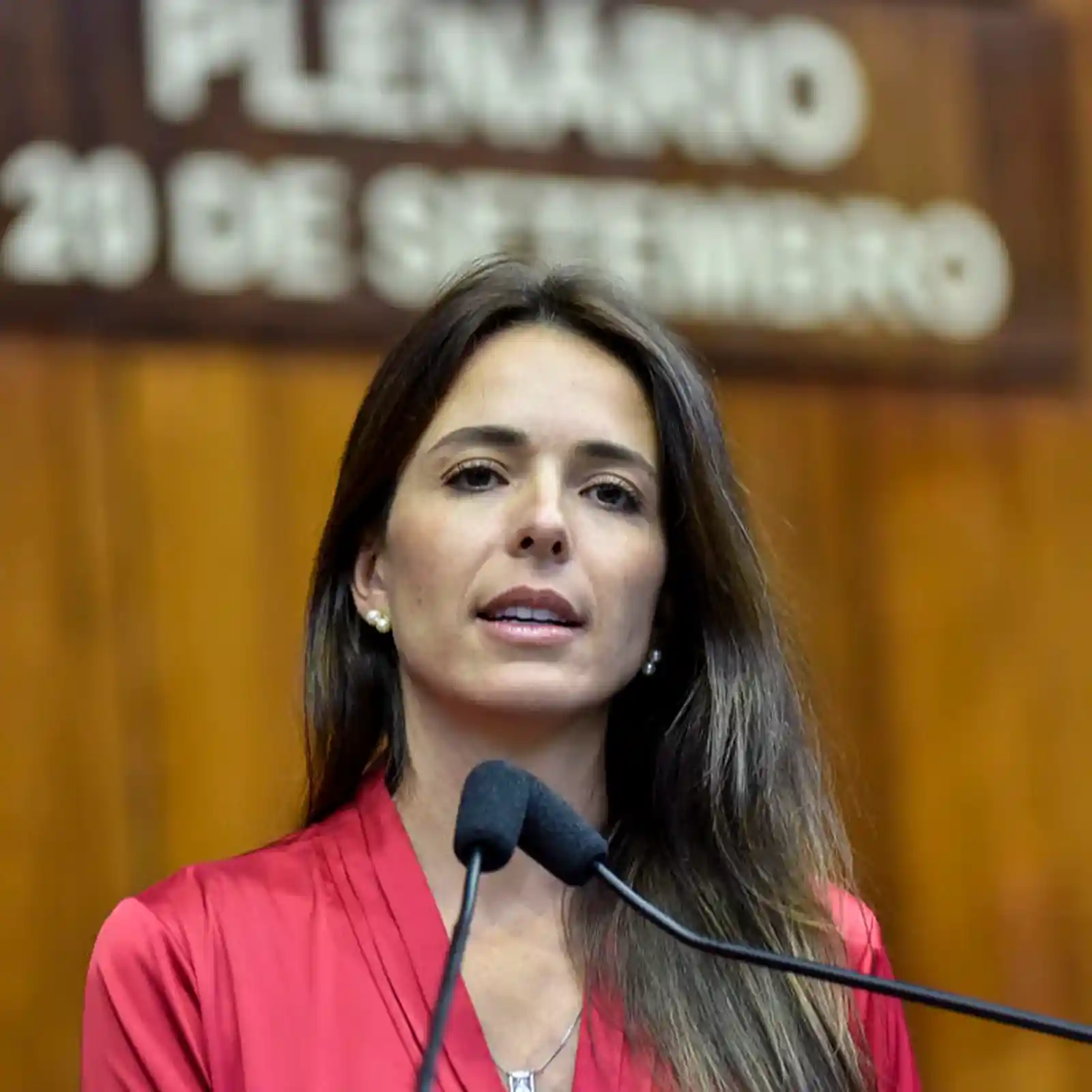 Imagem de Comissão da Câmara aprova projeto que amplia regulação de plataformas digitais