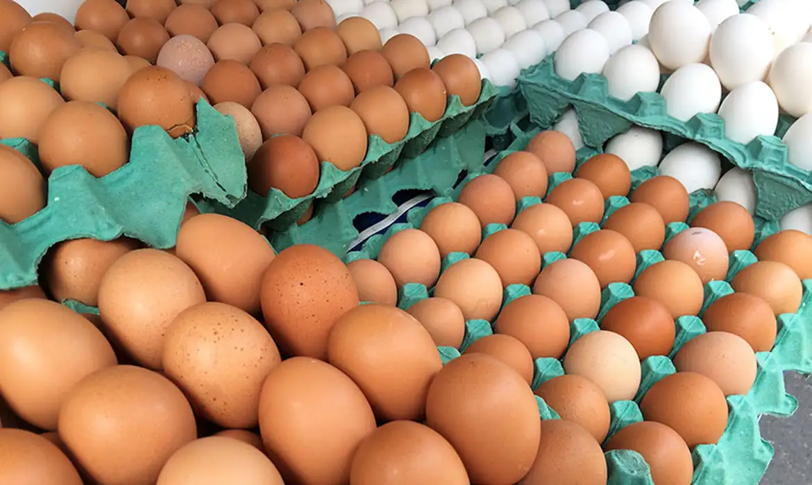 Imagem de Preço do ovo dispara em Salvador e chega a quase R$ 35