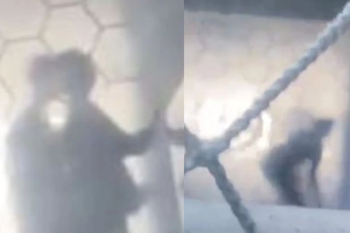 Imagem de Vídeo mostra alunos em ato sexual dentro de faculdade em Salvador