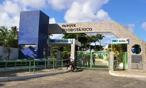 Imagem de Zoológico de Salvador reabre nesta terça após três meses de reforma