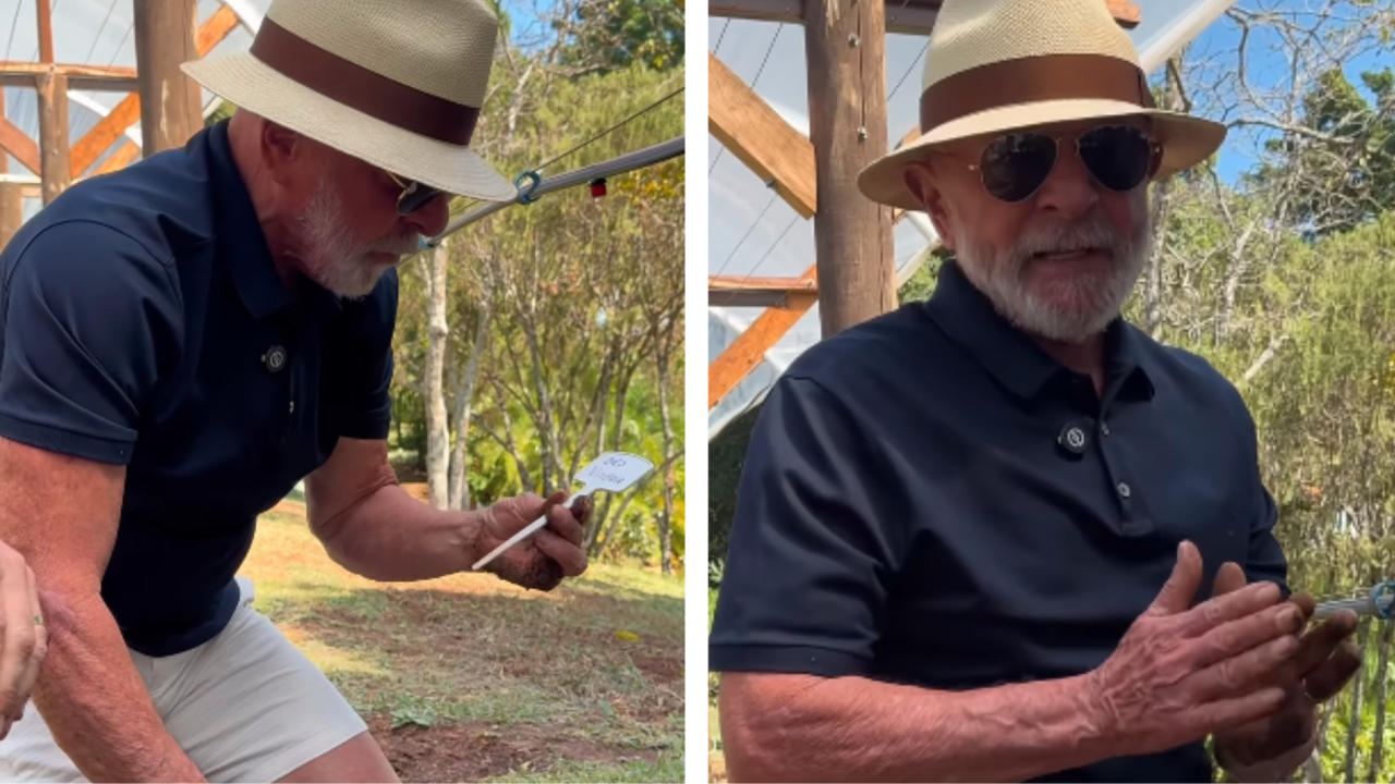 Imagem de Depois da Jabuticaba, a Uva: Lula envia recado de paz a Trump: “planto comida, não ódio”