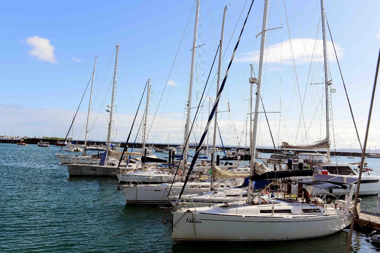 Imagem de Em seu primeiro ano de atuação, Secretaria do Mar fortalece SAC Náutico e atrai eventos internacionais para Salvador