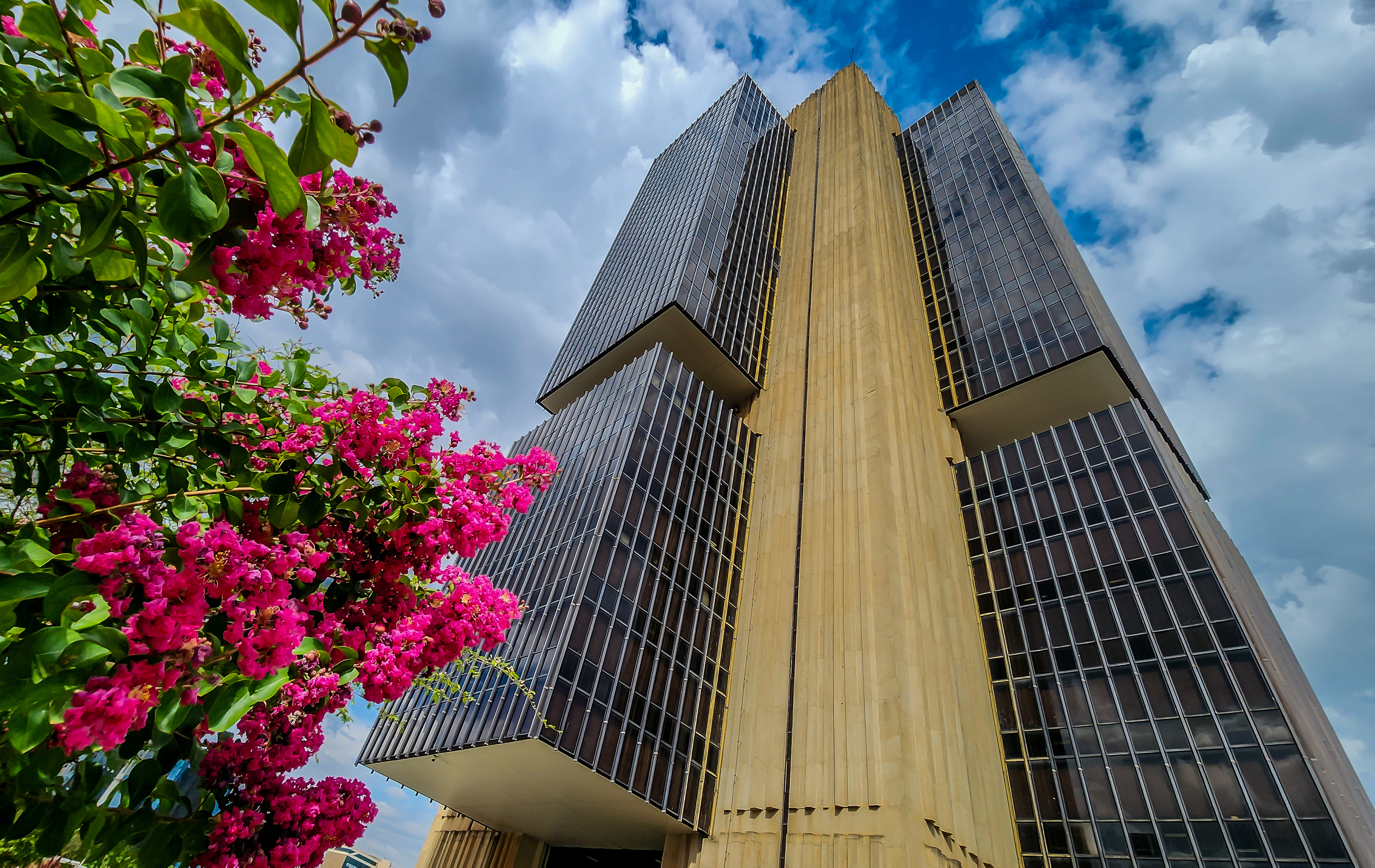 Imagem de Operação da PF leva ao afastamento de servidores do BC em investigação do Banco Master