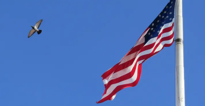 Imagem de Justiça dos EUA processa Minnesota por agenda woke no serviço público