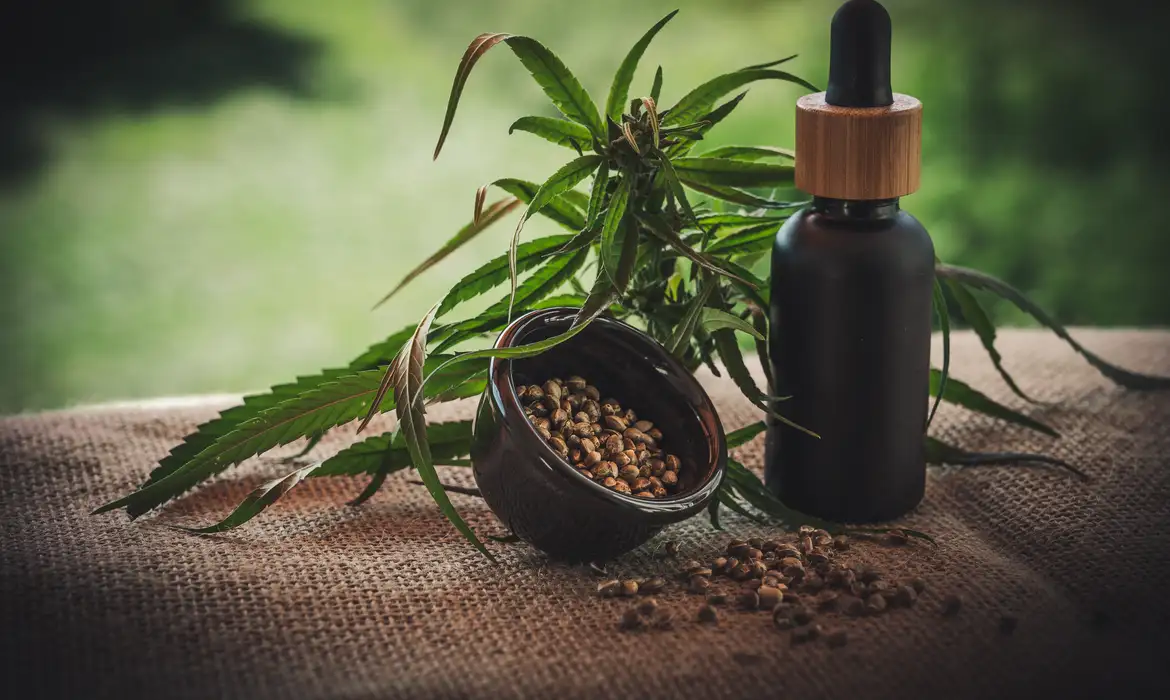 Imagem de Anvisa flexibiliza regras para medicamentos à base de Cannabis e libera exportação inédita