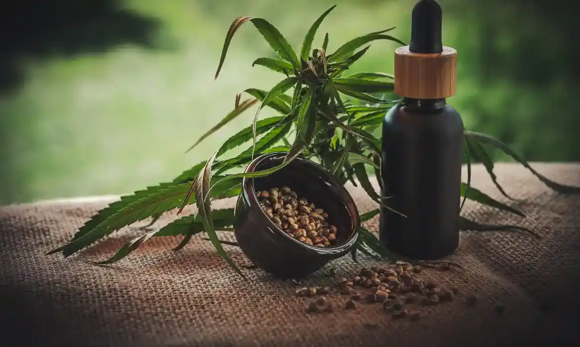 Imagem de Anvisa flexibiliza regras para medicamentos à base de Cannabis e libera exportação inédita