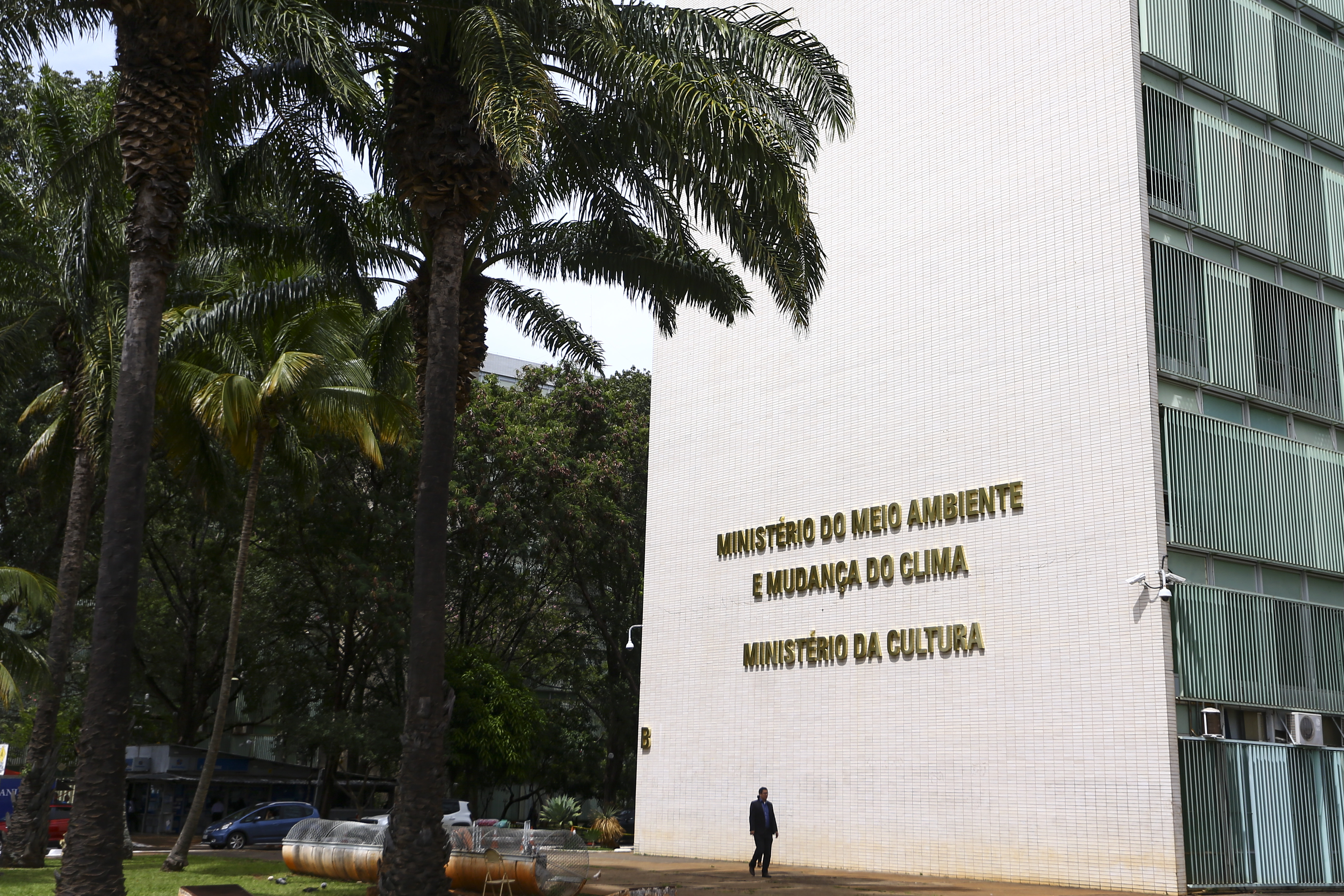 Imagem de Ministério da Cultura quer transformar escolas de samba em pontos de cultura