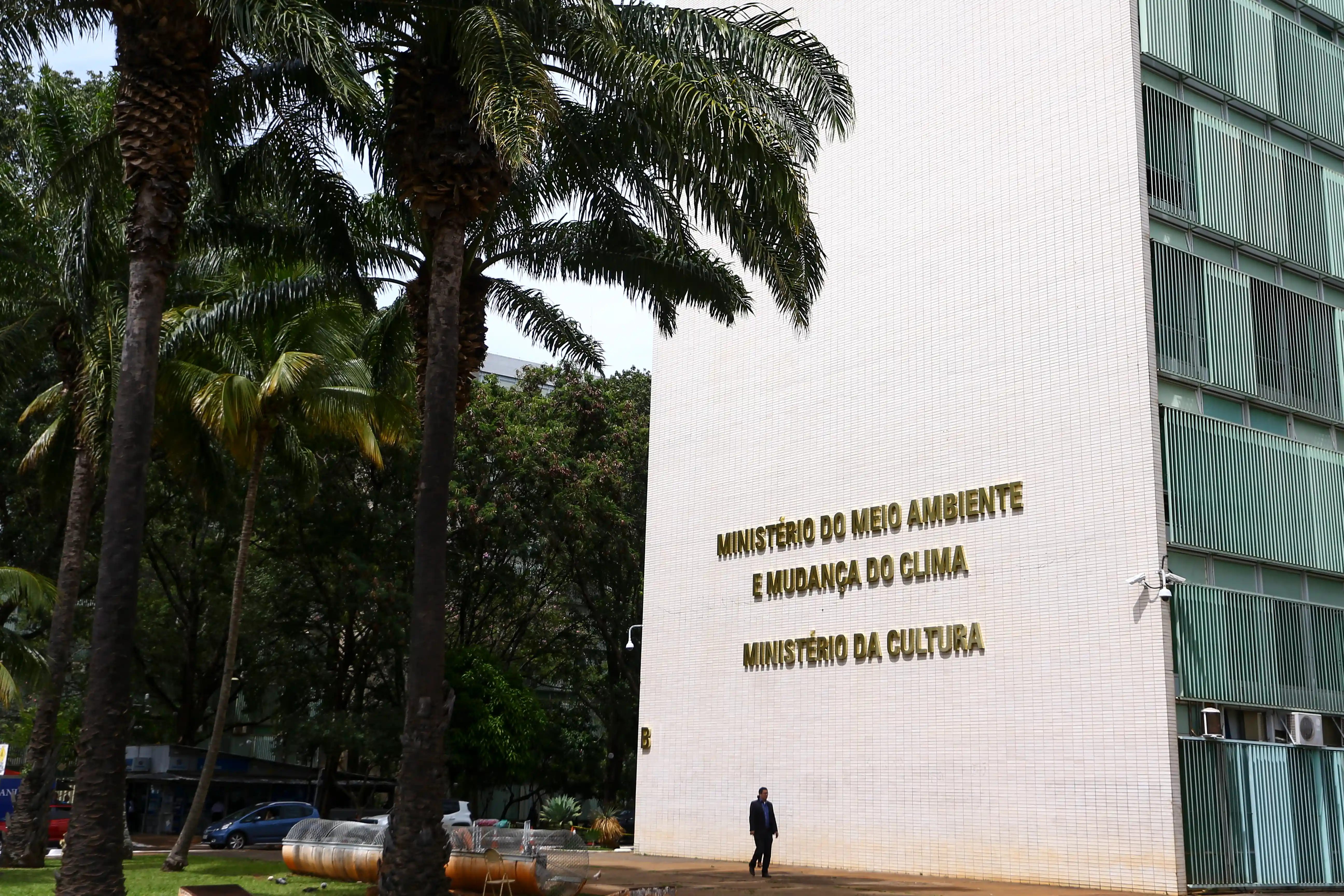 Imagem de Ministério da Cultura quer transformar escolas de samba em pontos de cultura