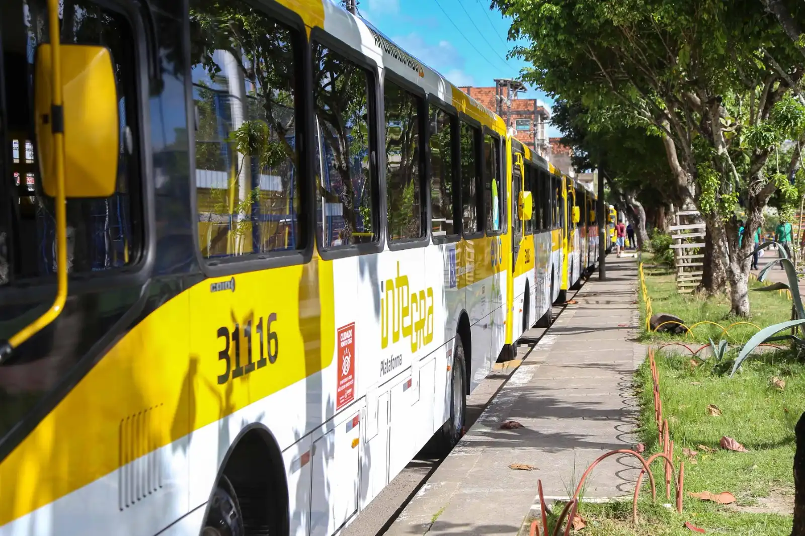 Imagem de Prefeitura de Salvador intensifica fiscalização para coibir uso irregular de patinetes elétricos